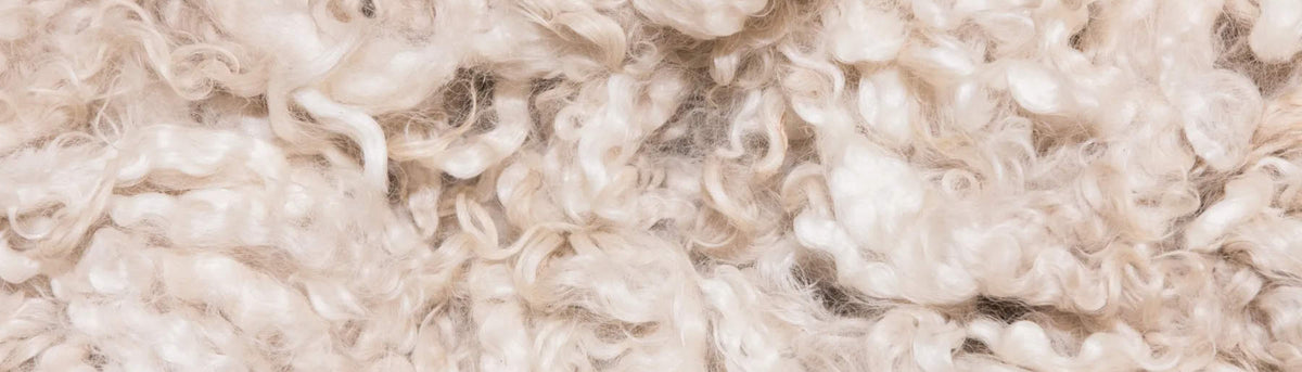 close up image of raw merino wool