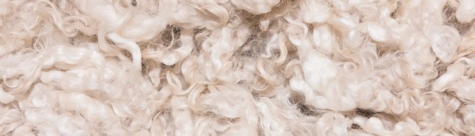 close up image of raw merino wool