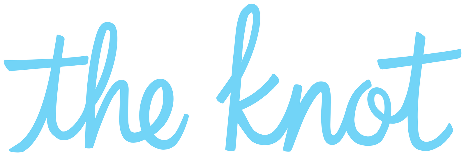 The Knot logo