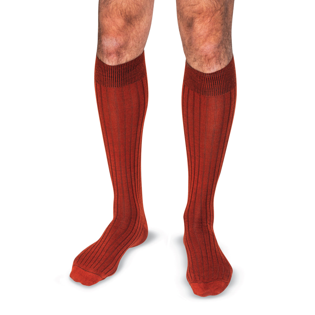 model wearing Burnt Orange Merino Wool Over the Calf Dress Socks on a white background